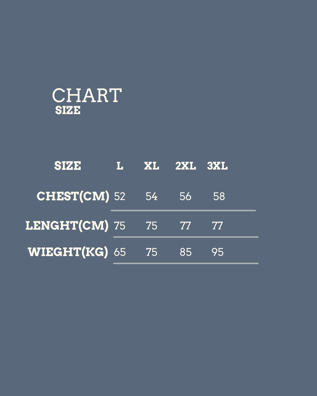 Karl Lagerfeld Ribbon Chemise Dress/ #00155